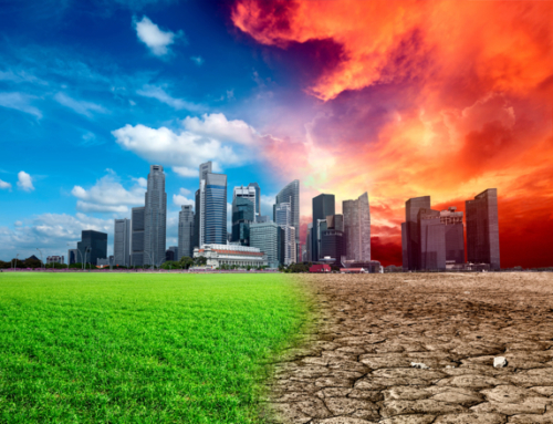 Forward-Thinking Companies Capitalize on the Risks and Opportunities of Climate Change